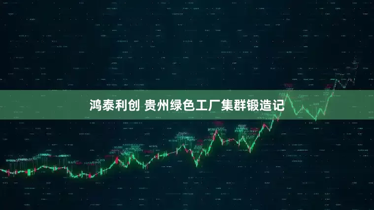 鸿泰利创 贵州绿色工厂集群锻造记