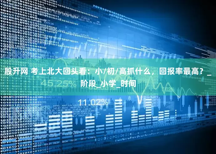 股升网 考上北大回头看：小/初/高抓什么，回报率最高？_阶段_小学_时间