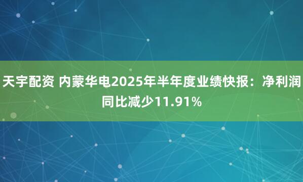 天宇配资 内蒙华电2025年半年度业绩快报：净利润同比减少11.91%