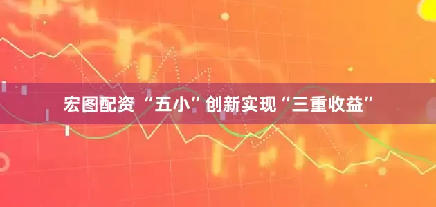 宏图配资 “五小”创新实现“三重收益”