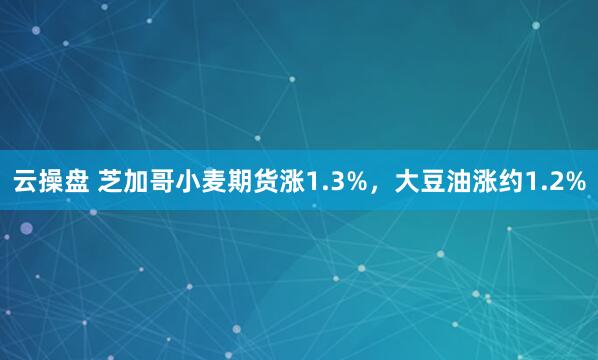 云操盘 芝加哥小麦期货涨1.3%，大豆油涨约1.2%