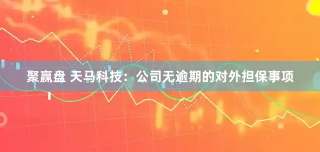 聚赢盘 天马科技：公司无逾期的对外担保事项