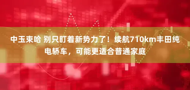 中玉束哈 别只盯着新势力了！续航710km丰田纯电轿车，可能更适合普通家庭