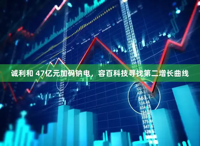 诚利和 47亿元加码钠电，容百科技寻找第二增长曲线